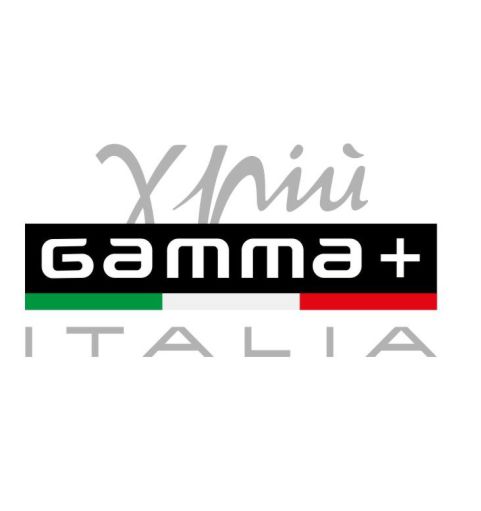Gamma+